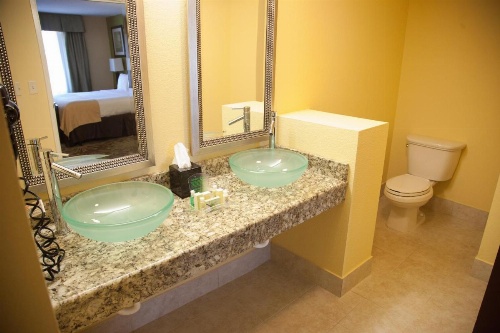 Holiday Inn Chicago North - Gurnee image 20